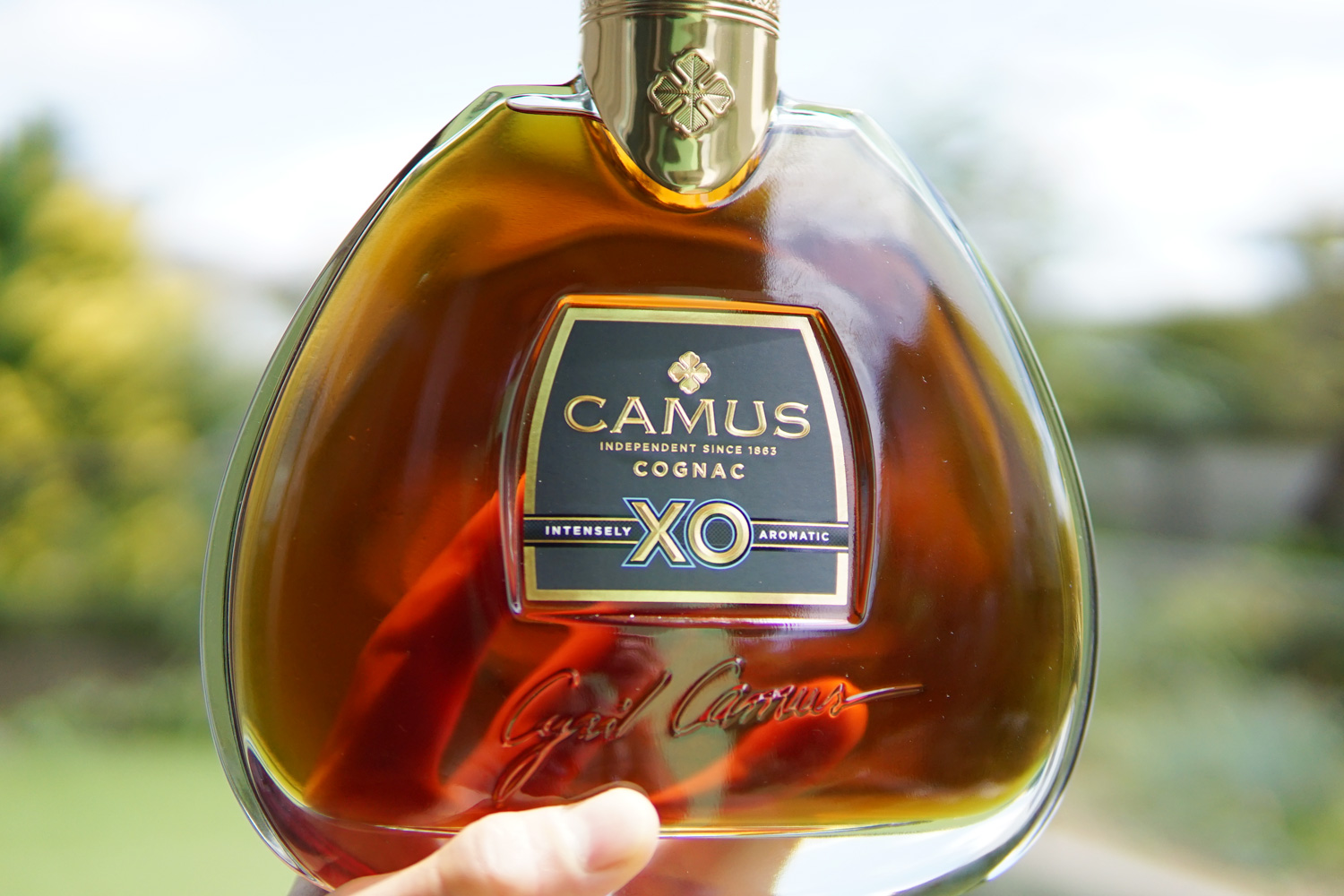 これはやりすぎ？カミュXO Intensely Aromaticを味わった結果 - Brandy 