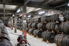 Cognac Park