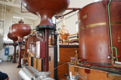 Cognac Park